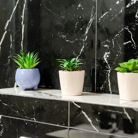 Lexxa 4 Casa Del Mar -mamaia Nord